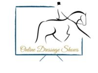 NOV SHOW Novice ODS Test 3