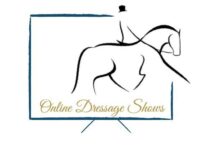 NOV SHOW All Ages Walk & Trot Prix Caprilli 4